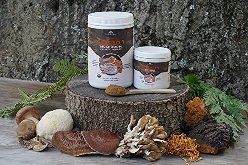 SACRED 7 Mushroom Extract Powder